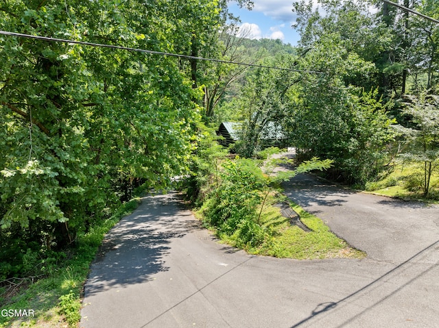 LOT24 Cascades Ct, Sevierville, TN 37862 - photo 11