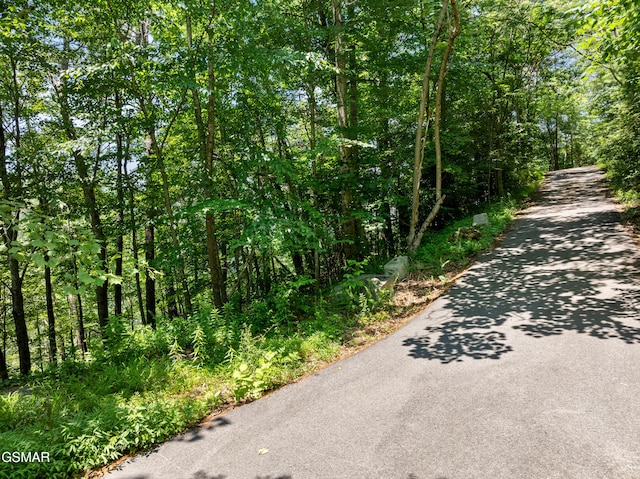 LOT24 Cascades Ct, Sevierville, TN 37862 - photo 2
