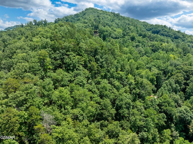 LOT24 Cascades Ct, Sevierville, TN 37862 - photo 7