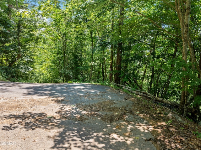 LOT24 Cascades Ct, Sevierville, TN 37862 - photo 3