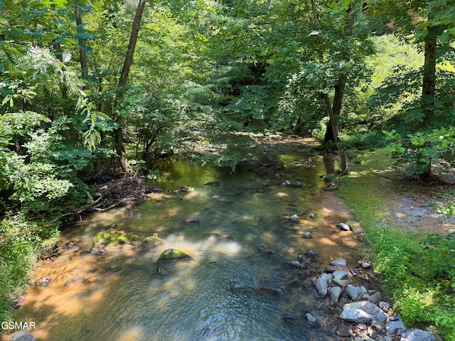 LOT24 Cascades Ct, Sevierville, TN 37862 - photo 13