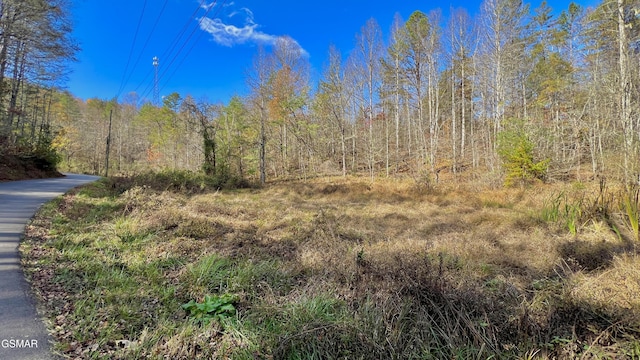 8LOTS Grassy Branch Loop, Sevierville, TN 37876 - photo 18