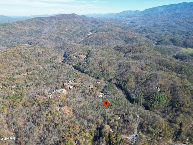 8LOTS Grassy Branch Loop, Sevierville, TN 37876 - photo 9