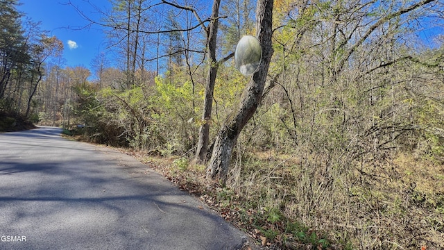 8LOTS Grassy Branch Loop, Sevierville, TN 37876 - photo 14