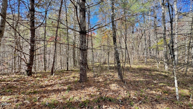 8LOTS Grassy Branch Loop, Sevierville, TN 37876 - photo 25