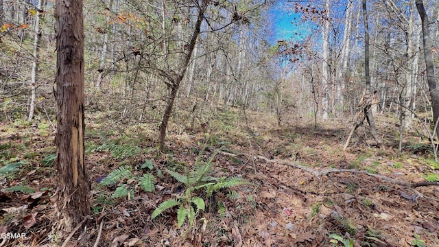 8LOTS Grassy Branch Loop, Sevierville, TN 37876 - photo 21