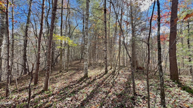 8LOTS Grassy Branch Loop, Sevierville, TN 37876 - photo 26