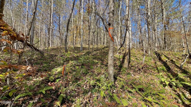 8LOTS Grassy Branch Loop, Sevierville, TN 37876 - photo 19