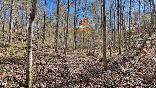 8LOTS Grassy Branch Loop, Sevierville, TN 37876 - photo 37