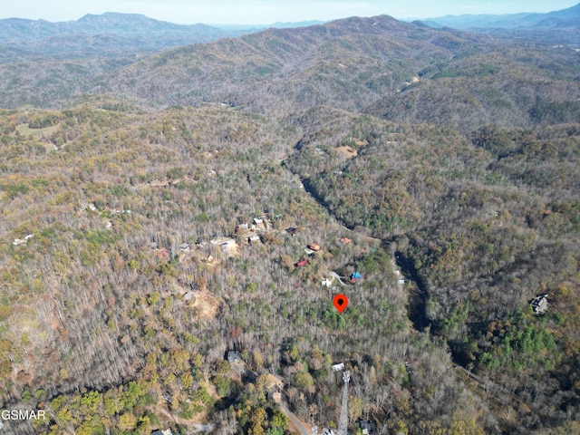 8LOTS Grassy Branch Loop, Sevierville, TN 37876 - photo 10