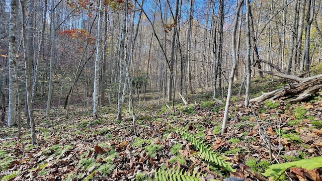 8LOTS Grassy Branch Loop, Sevierville, TN 37876 - photo 30