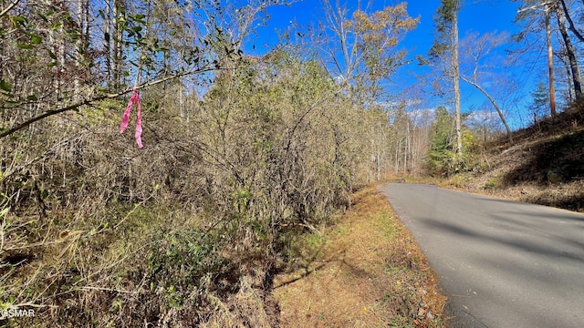 8LOTS Grassy Branch Loop, Sevierville, TN 37876 - photo 12