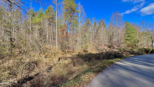 8LOTS Grassy Branch Loop, Sevierville, TN 37876 - photo 13