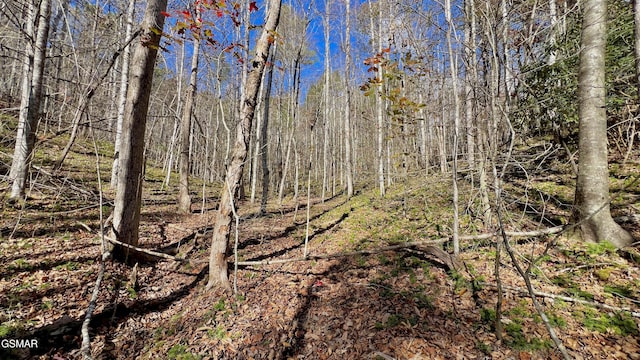 8LOTS Grassy Branch Loop, Sevierville, TN 37876 - photo 34
