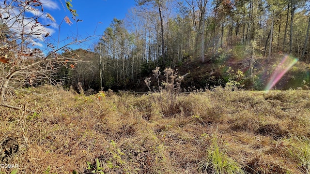 8LOTS Grassy Branch Loop, Sevierville, TN 37876 - photo 40
