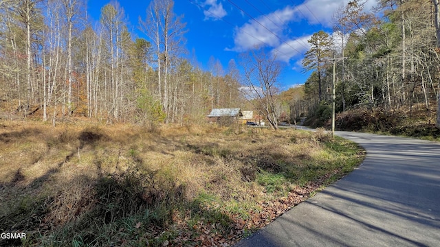 8LOTS Grassy Branch Loop, Sevierville, TN 37876 - photo 17