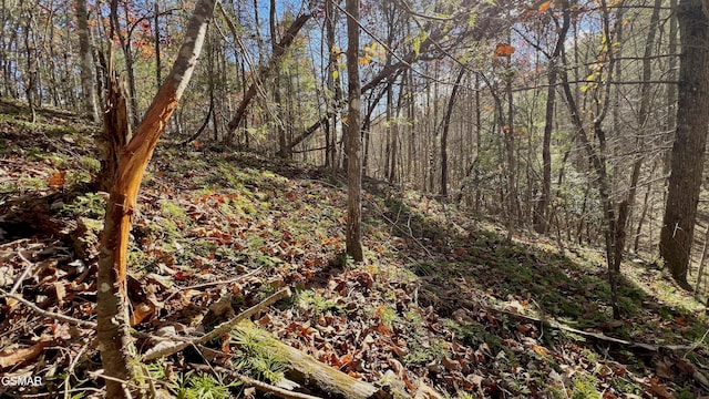8LOTS Grassy Branch Loop, Sevierville, TN 37876 - photo 33