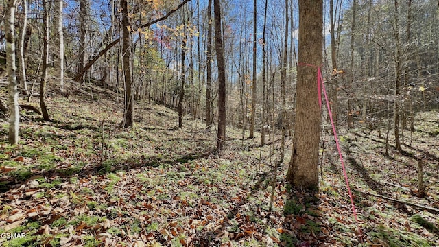 8LOTS Grassy Branch Loop, Sevierville, TN 37876 - photo 32