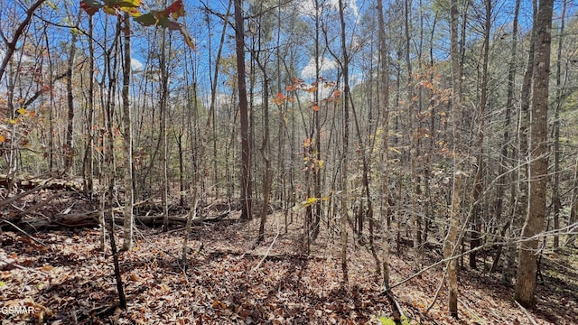 8LOTS Grassy Branch Loop, Sevierville, TN 37876 - photo 29
