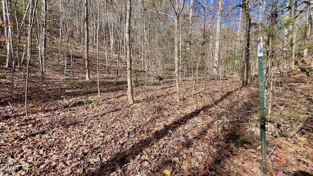8LOTS Grassy Branch Loop, Sevierville, TN 37876 - photo 24