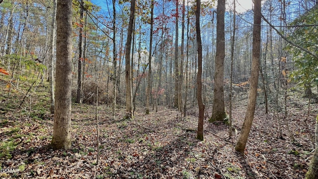 8LOTS Grassy Branch Loop, Sevierville, TN 37876 - photo 35