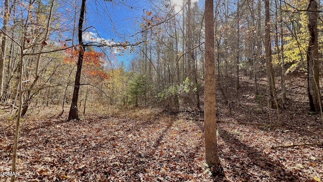8LOTS Grassy Branch Loop, Sevierville, TN 37876 - photo 23