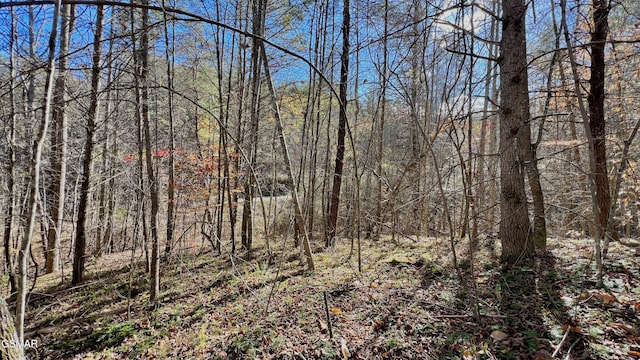 8LOTS Grassy Branch Loop, Sevierville, TN 37876 - photo 38