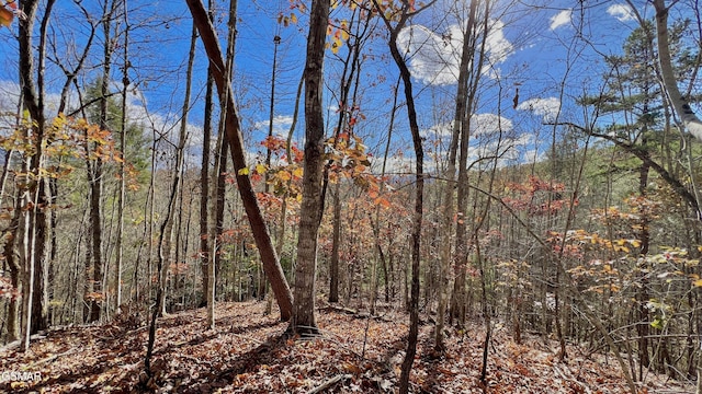 8LOTS Grassy Branch Loop, Sevierville, TN 37876 - photo 28