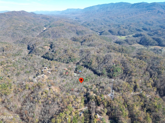 8LOTS Grassy Branch Loop, Sevierville, TN 37876 - photo 8