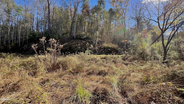 8LOTS Grassy Branch Loop, Sevierville, TN 37876 - photo 39