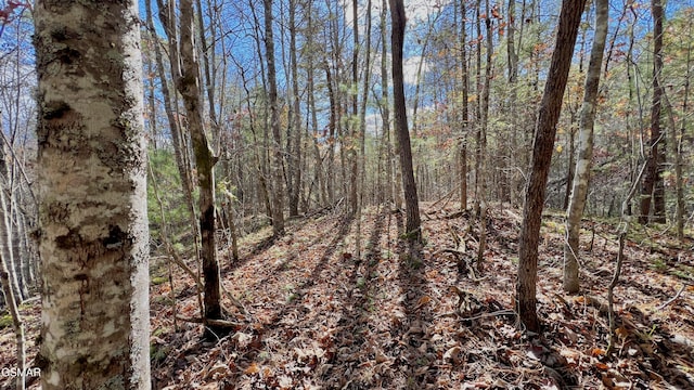 8LOTS Grassy Branch Loop, Sevierville, TN 37876 - photo 27