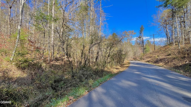 8LOTS Grassy Branch Loop, Sevierville, TN 37876 - photo 11