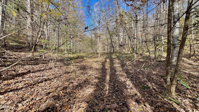 8LOTS Grassy Branch Loop, Sevierville, TN 37876 - photo 20