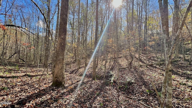 8LOTS Grassy Branch Loop, Sevierville, TN 37876 - photo 36