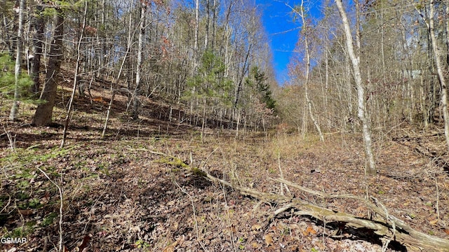 8LOTS Grassy Branch Loop, Sevierville, TN 37876 - photo 22