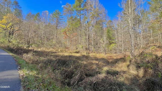 8LOTS Grassy Branch Loop, Sevierville, TN 37876 - photo 16