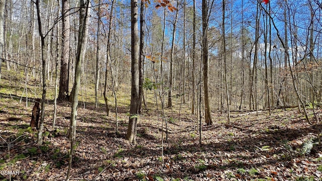 8LOTS Grassy Branch Loop, Sevierville, TN 37876 - photo 31