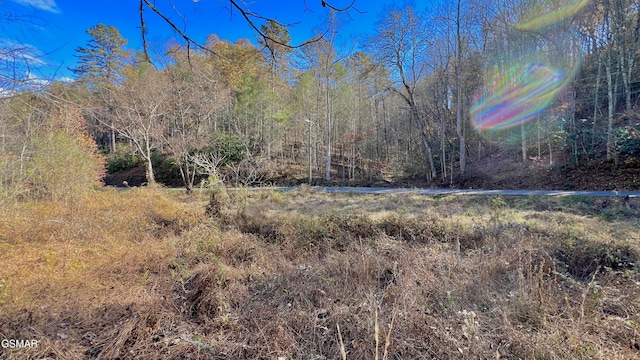 8LOTS Grassy Branch Loop, Sevierville, TN 37876 - photo 41