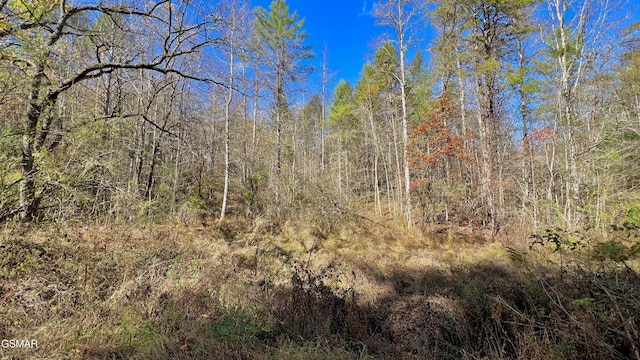 8LOTS Grassy Branch Loop, Sevierville, TN 37876 - photo 15