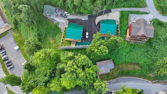 LOT1 Circle Dr, Gatlinburg, TN 37738 - photo 13