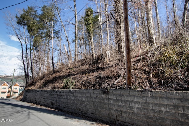 LOT1 Circle Dr, Gatlinburg, TN 37738 - photo 17