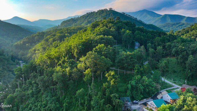 LOT1 Circle Dr, Gatlinburg, TN 37738 - photo 15