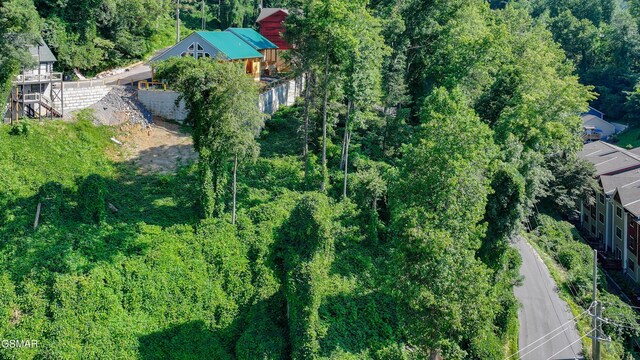 LOT1 Circle Dr, Gatlinburg, TN 37738 - photo 10