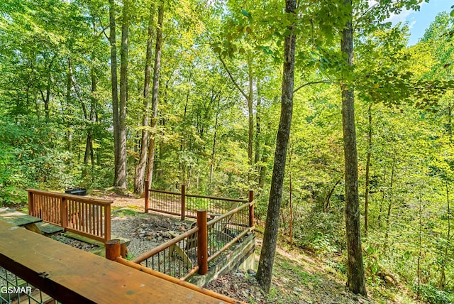 view of wooden terrace