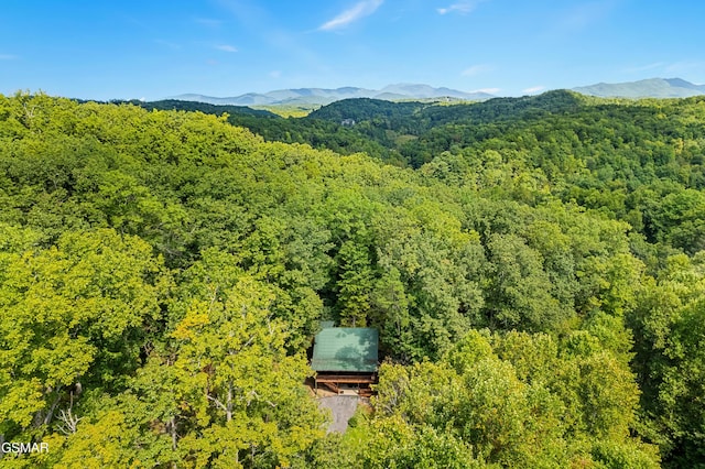 drone / aerial view featuring a mountain view