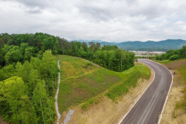 Listing photo 3 for 0 Jake Thomas Rd, Pigeon Forge TN 37863