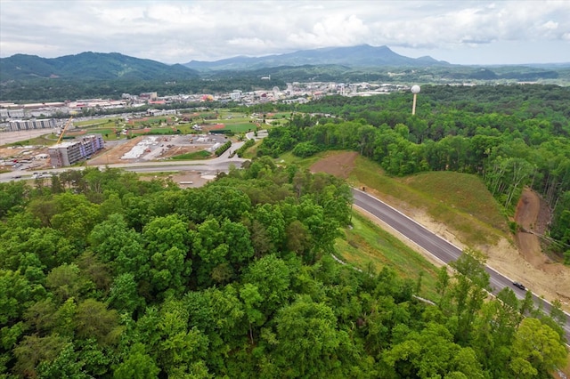 Listing photo 2 for 0 Jake Thomas Rd, Pigeon Forge TN 37863