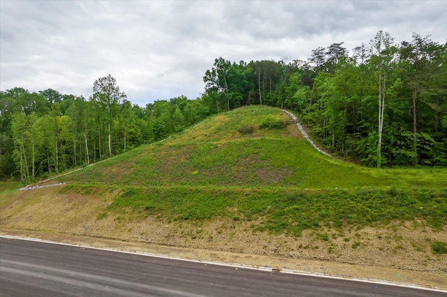 0 Jake Thomas Rd, Pigeon Forge, TN 37863 - photo 6