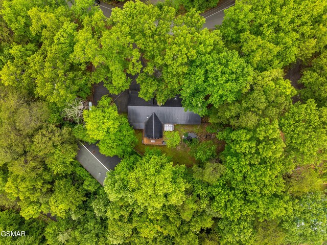 2887 Pine Haven Dr, Sevierville, TN 37862 - drone / aerial view