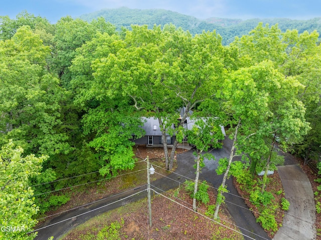 2887 Pine Haven Dr, Sevierville, TN 37862 - view from above of property featuring a heavily wooded area